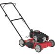 Rental store for mower lawn push gas in STOREAREA2