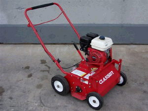 Rental store for dethatcher lawn in STOREAREA2